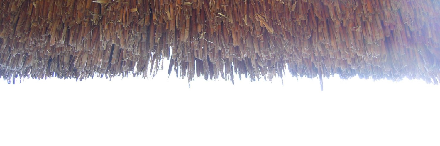 Serge_Hodor banner