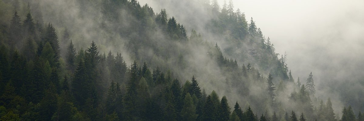 DepressiveIdio's profile banner image