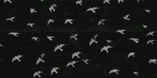 Lisa_glucose's profile banner image