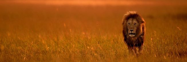 Darryl Longdon🙇🏾‍♂️ banner