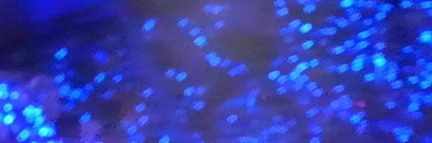 chada_hairo's profile banner image