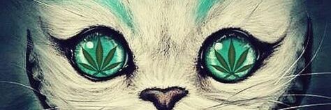 AyeLOVATIC95's profile banner image