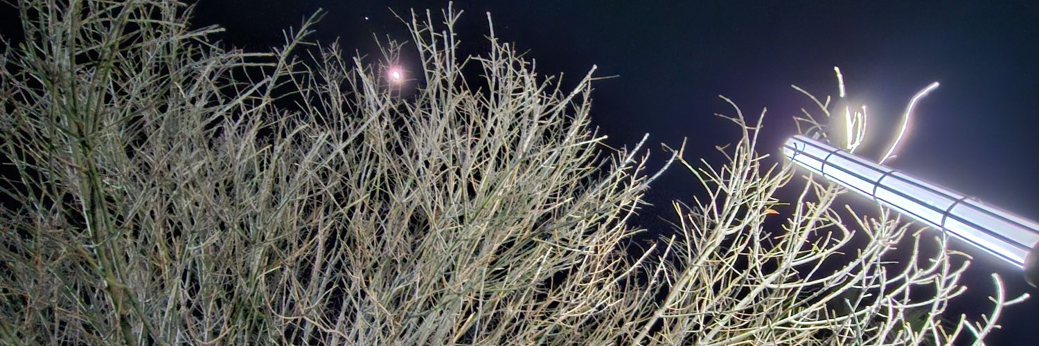 Darius di Biglia 🫒 banner