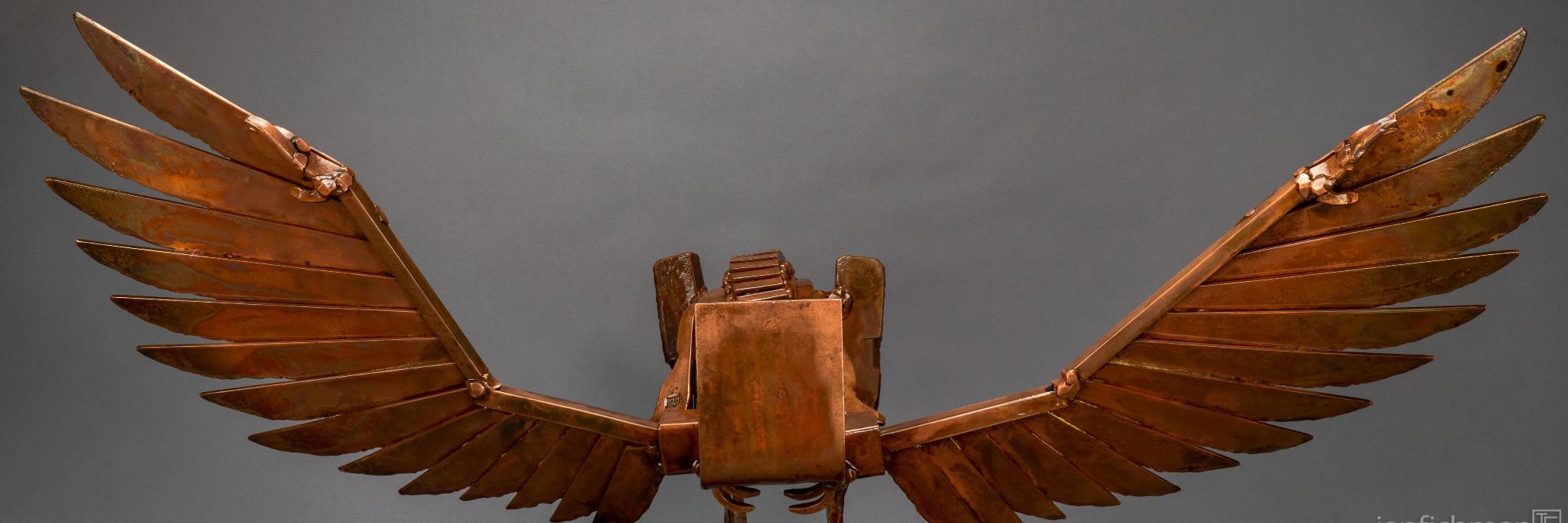ianfichman's profile banner image