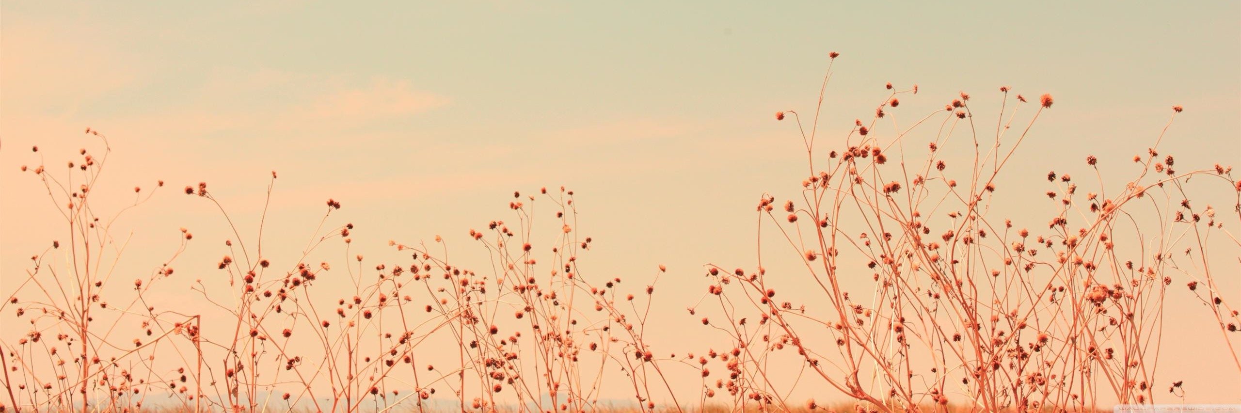 maduxins's profile banner image