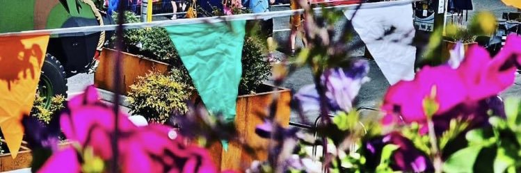 Newbridge June Fest 24 banner