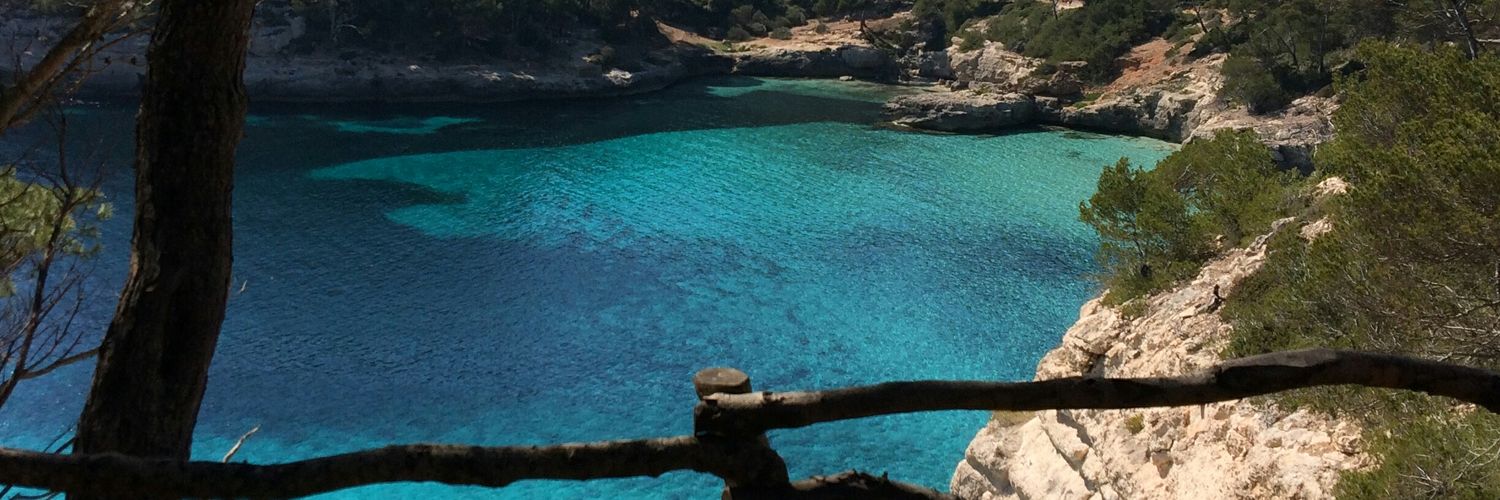 Casilda Mz-Almeida banner