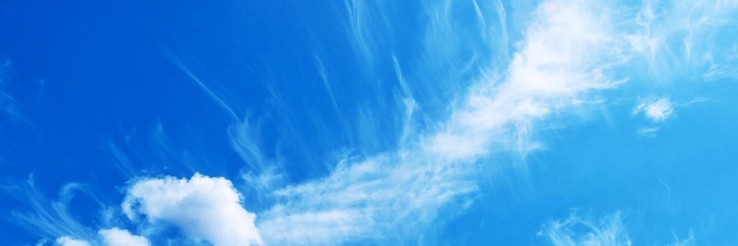 steinbell's profile banner image