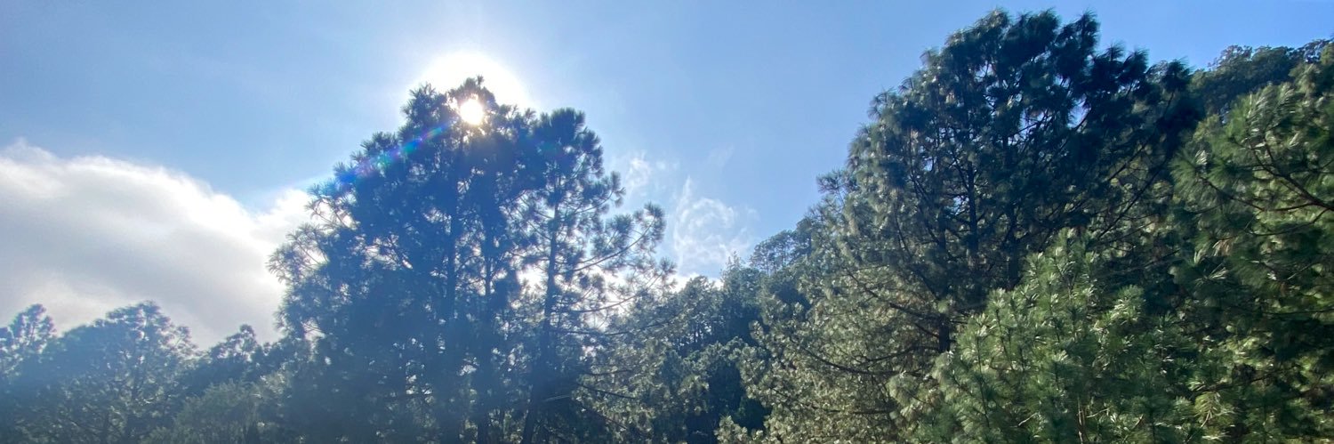 Adrian_gomf's profile banner image
