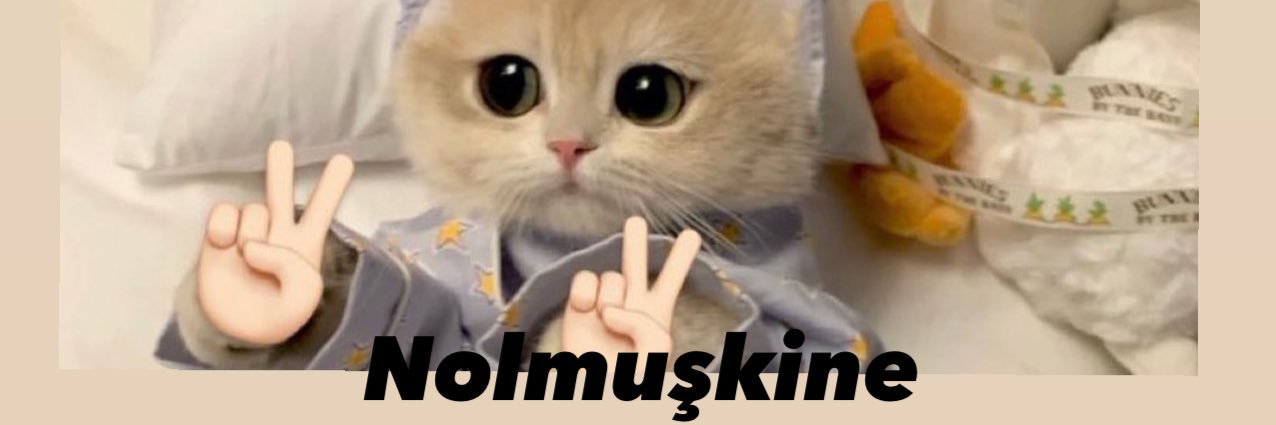moderngericii's profile banner image