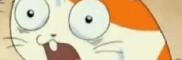mang__duck's profile banner image
