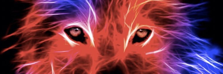 Jason Wolfe banner