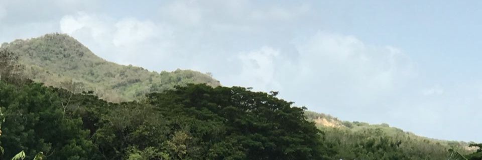 RosamiUrena's profile banner image