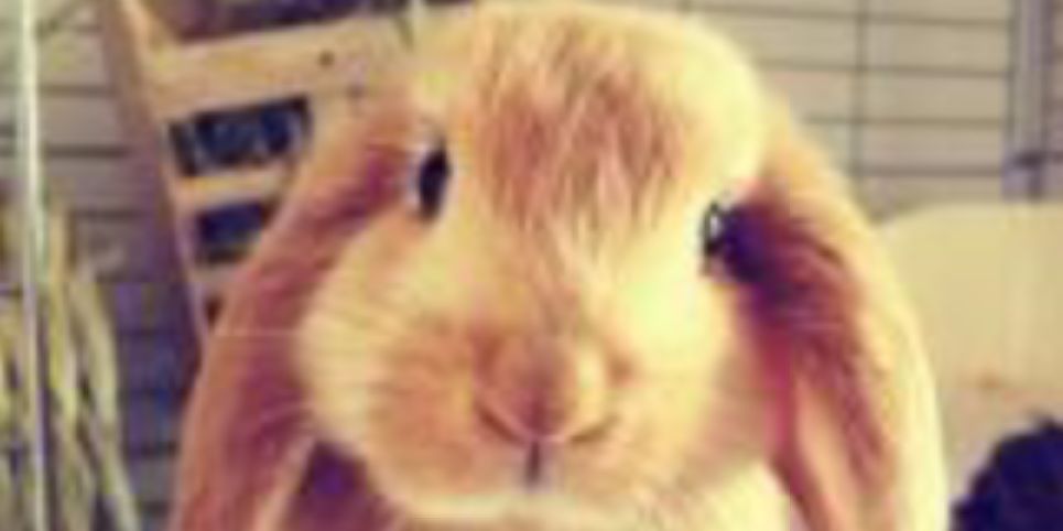 grotto_k's profile banner image