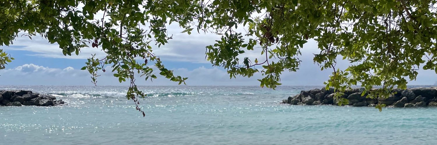 Andrés Campoverde Altamirano banner