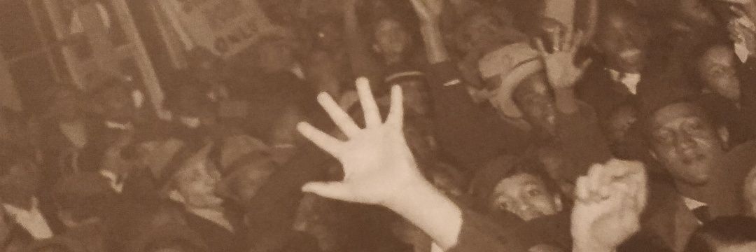 elerua_'s profile banner image
