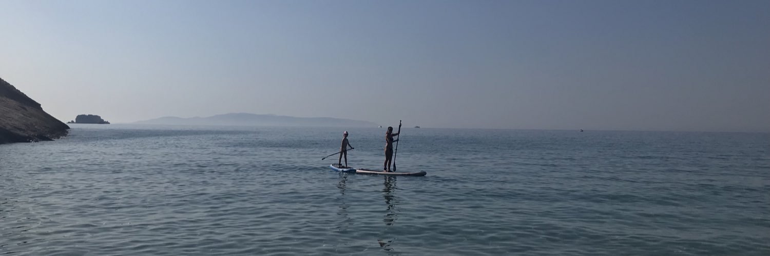 Hayley Warner banner