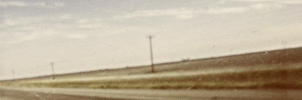 Carly Leech banner