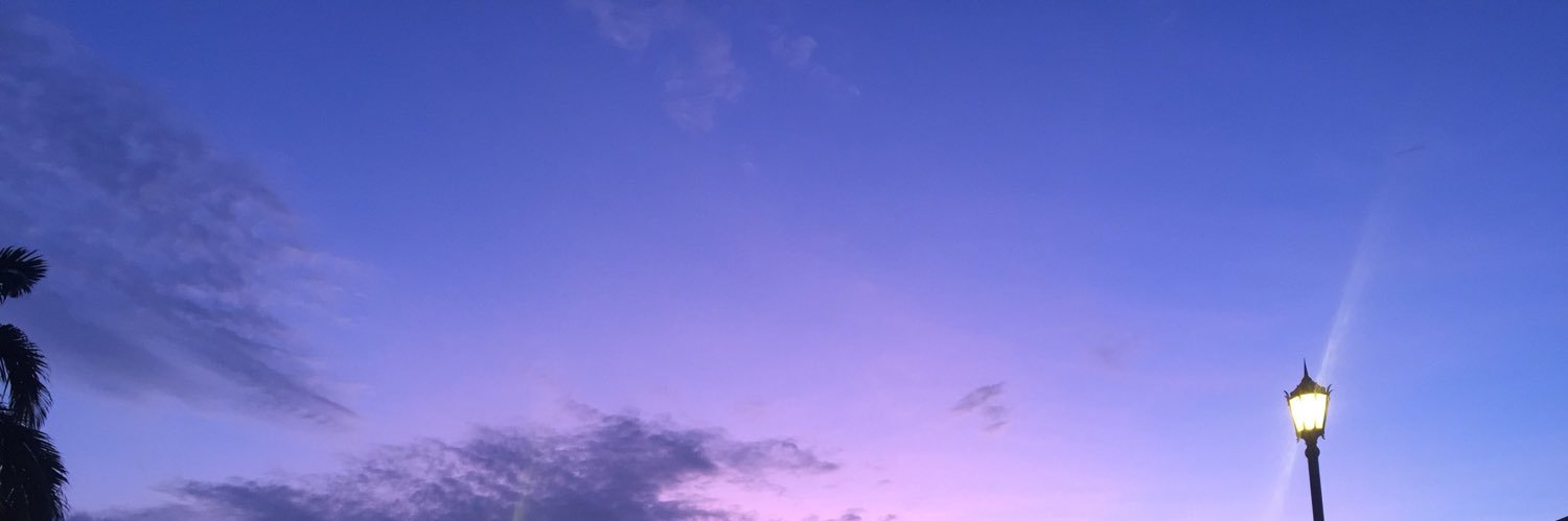 Madeleinealava's profile banner image