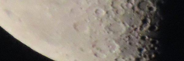 sedadaral Profile Banner