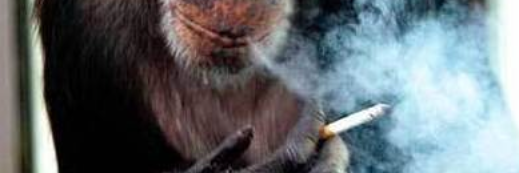 DrJauss's profile banner image