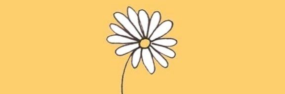 Enhle's profile banner image