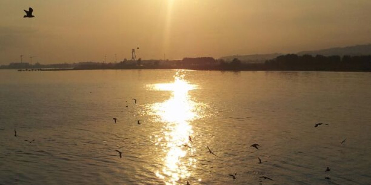 SedatDemir1972's profile banner image