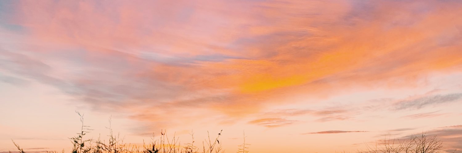 Thomas Reed banner