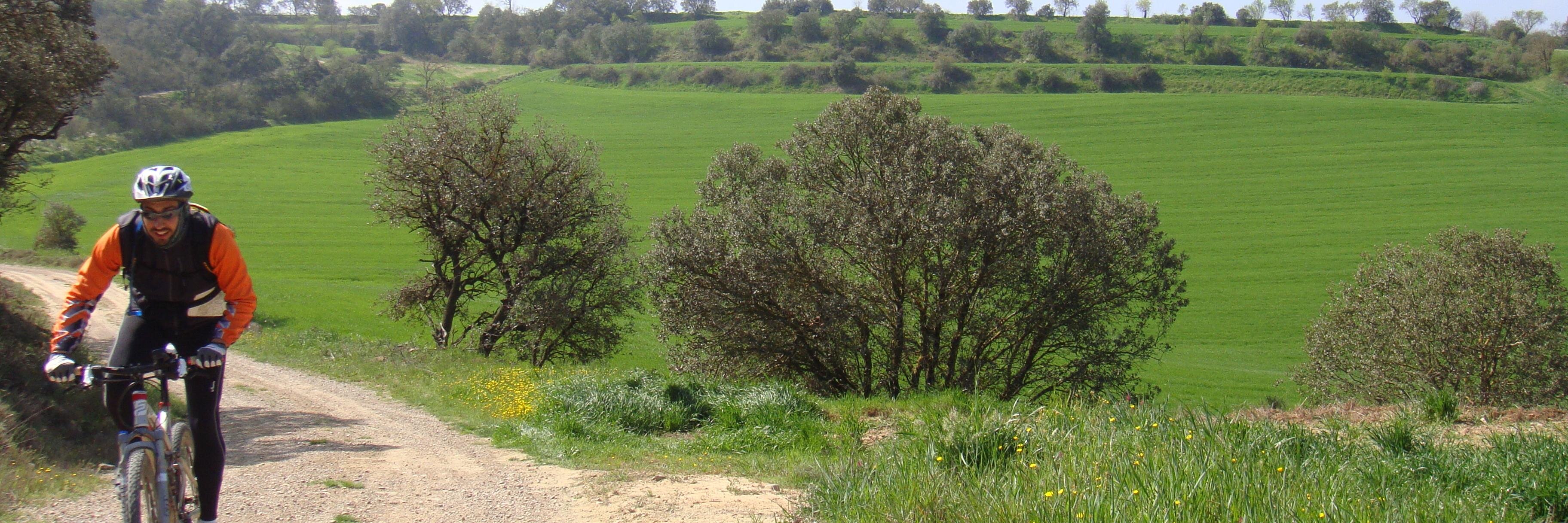 Francesc Seritjol banner