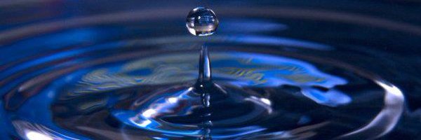 SunnyReign17 Profile Banner