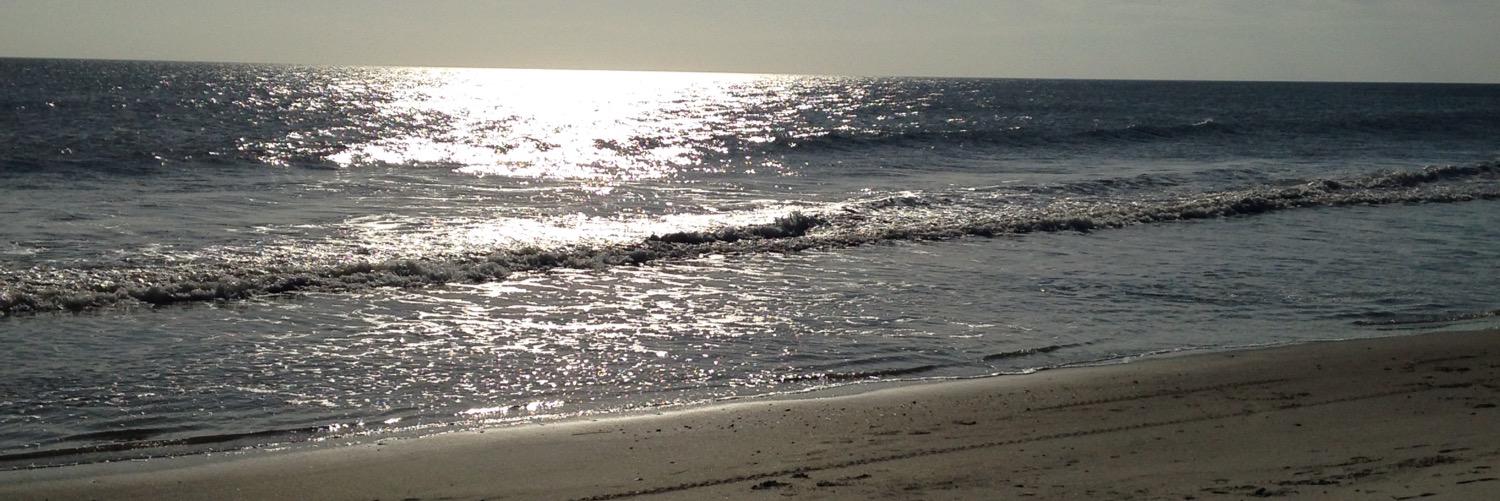 Crystal Merck banner