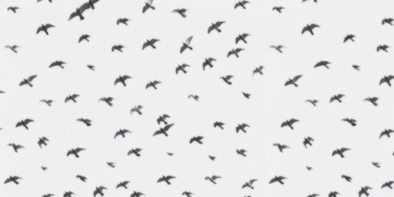 allgdrmelanie's profile banner image