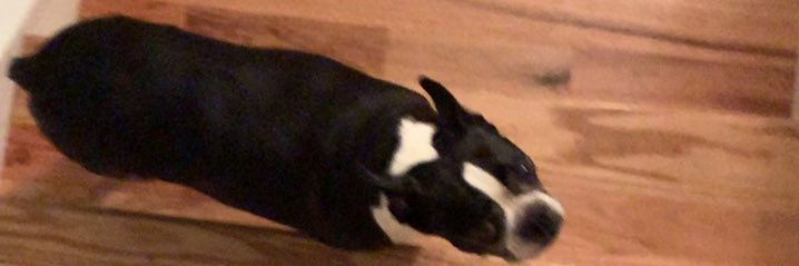 bignibba55's profile banner image