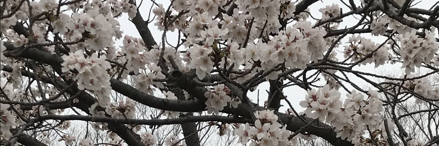 2345_kou's profile banner image