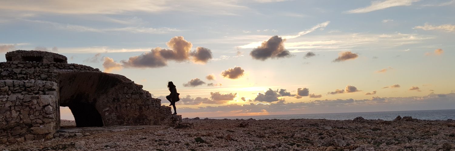 Cristina Torra banner