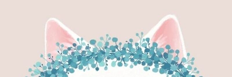 ddohaana's profile banner image