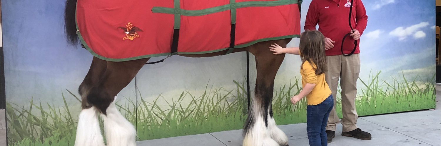 The Downey Profile banner