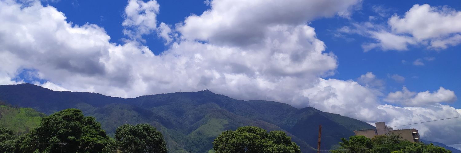 TenorioStephani's profile banner image