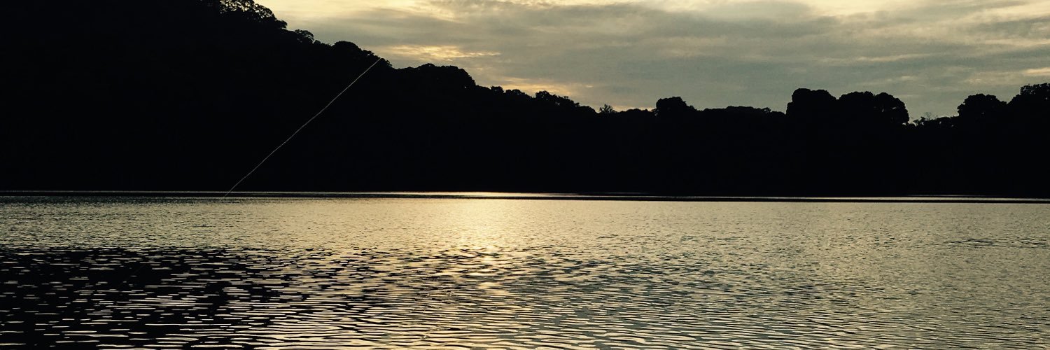 gelser92's profile banner image