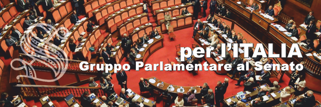 PI_Senato's profile banner image