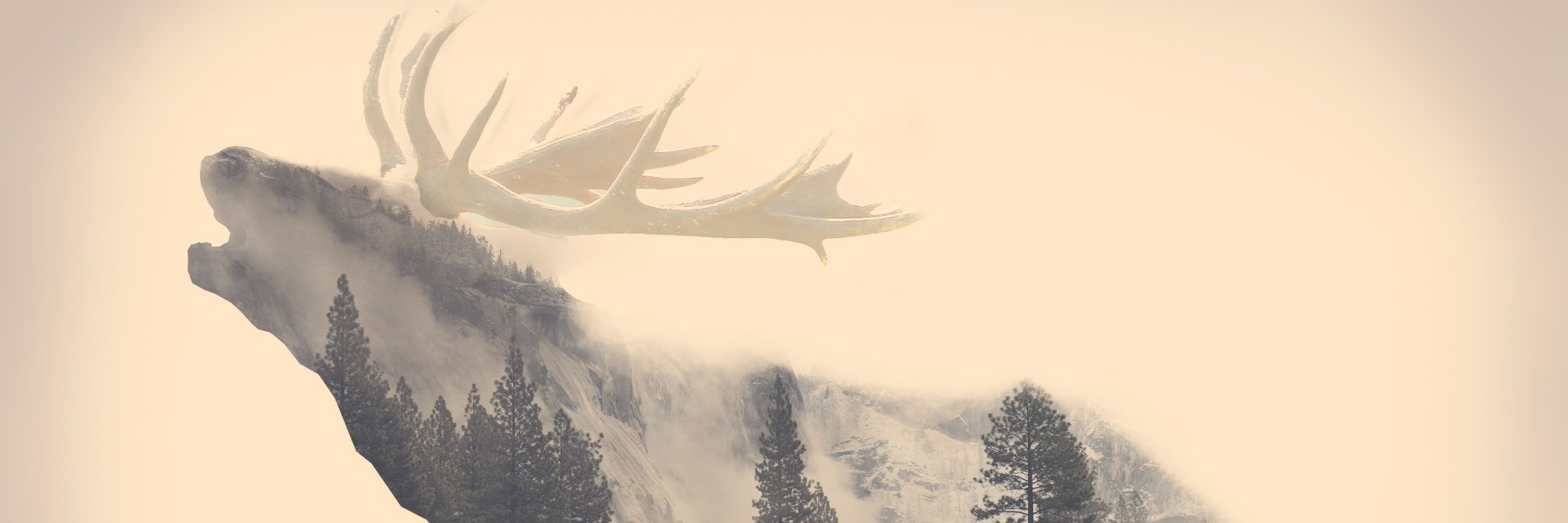 MrSadoW95's profile banner image