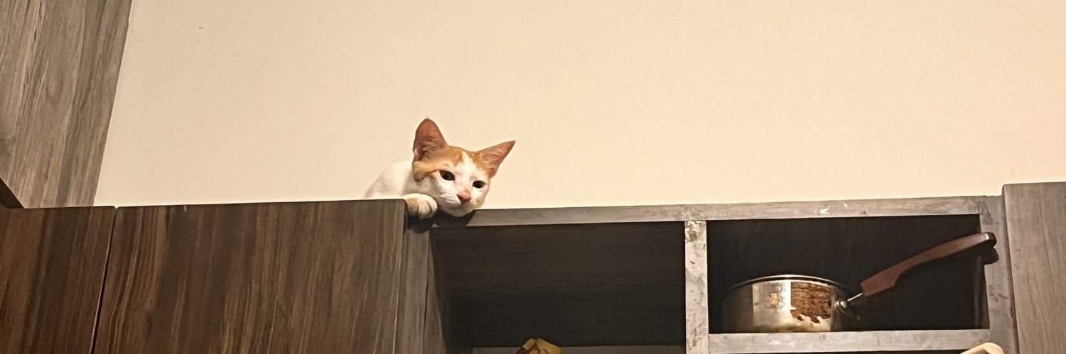 AmmuNition 🇵🇸 banner