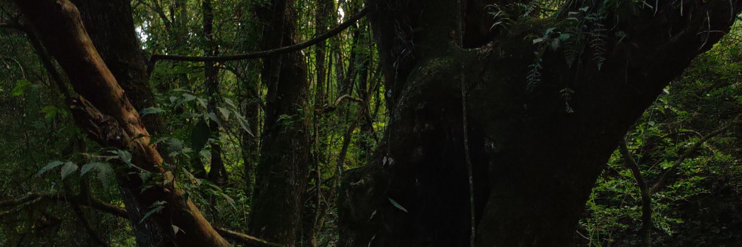 Espa_Ignacio's profile banner image