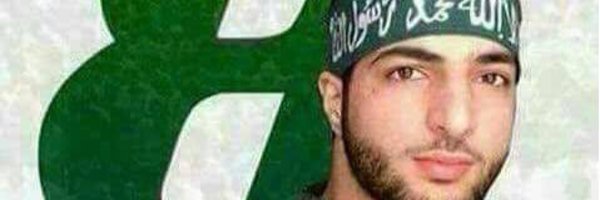 alligemini Profile Banner