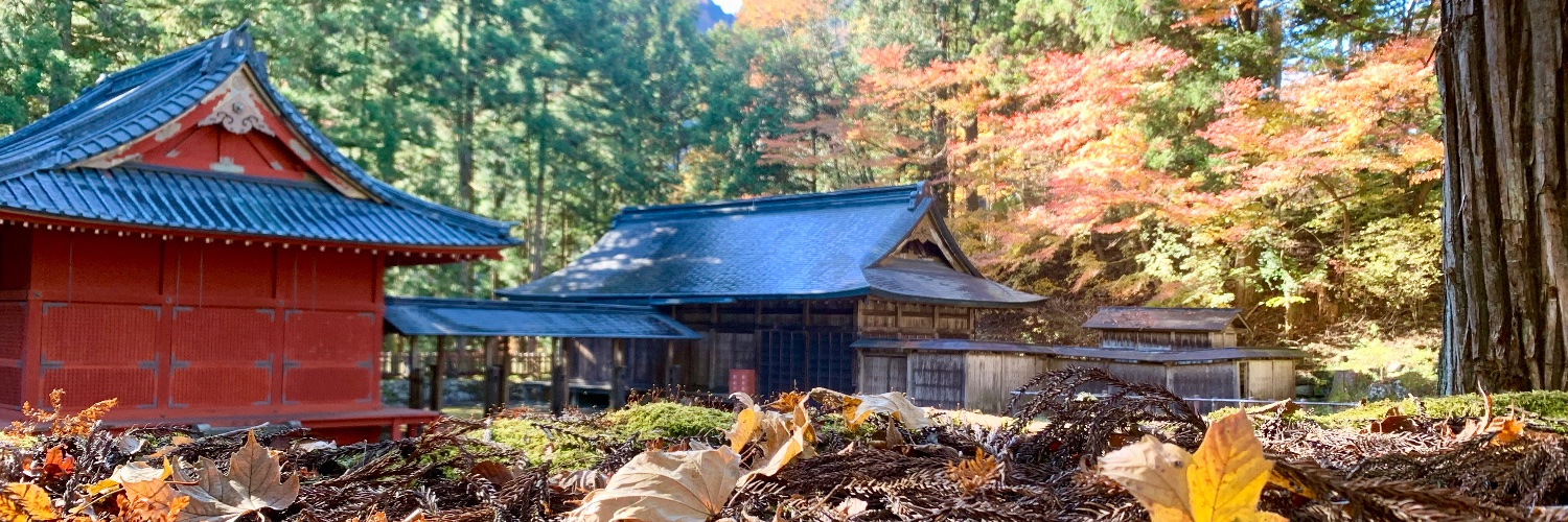 Michael Carew banner