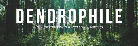 Deep Contractor banner