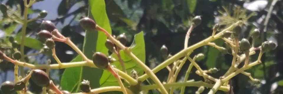 JairoRRoaS's profile banner image