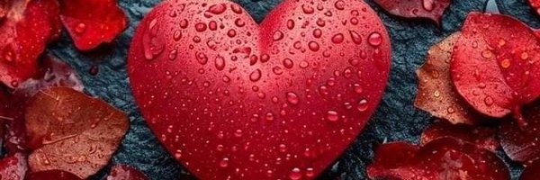 loveshine204 Profile Banner