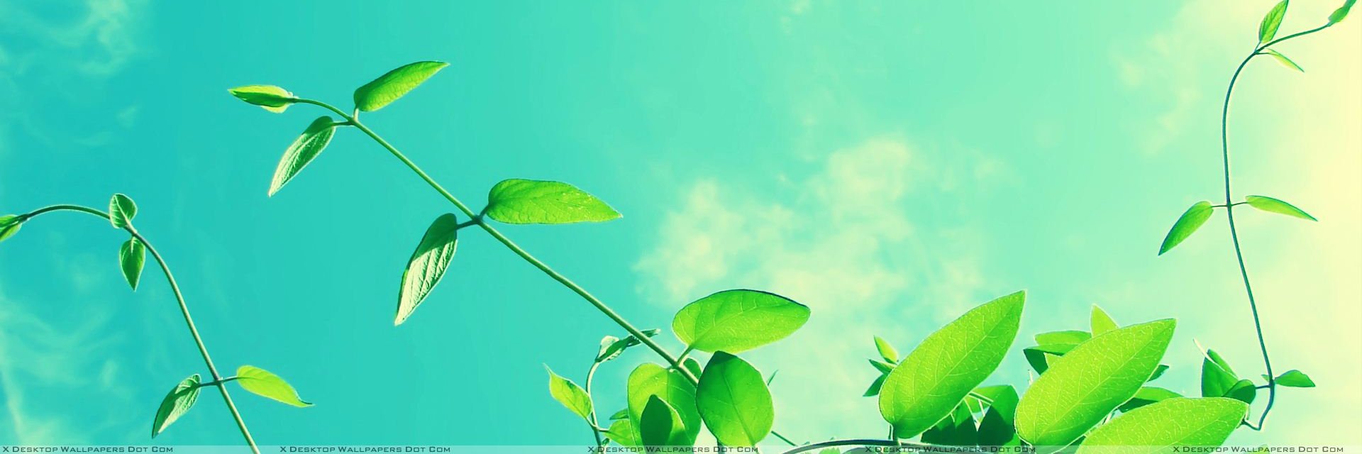comfortabilitya's profile banner image
