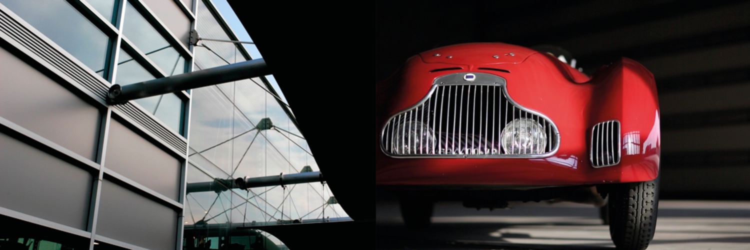 Museo Nicolis banner